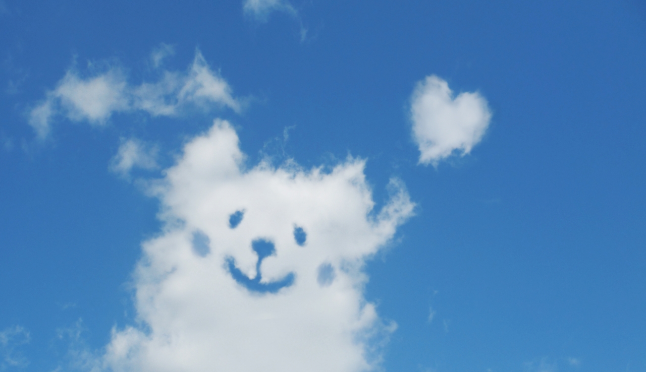 犬空